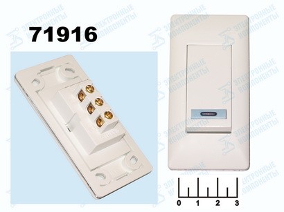 Выключатель 250/10 BHC1-10/G04511 белый врезной SC-002