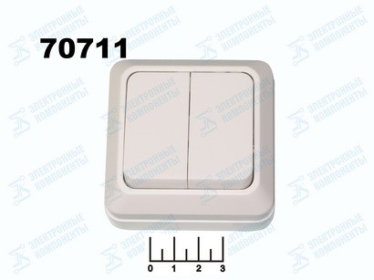 Выключатель 2-клавишный накладной TDM (Ладога) белый (sq1801-0003)