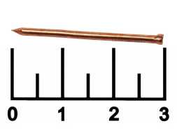 Гвозди финишные медь 1.6*30 (10 штук)