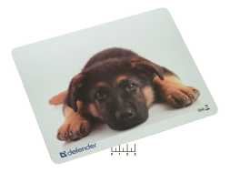 Коврик для мышки 23*19*1.6см в ассортимете (кошка)