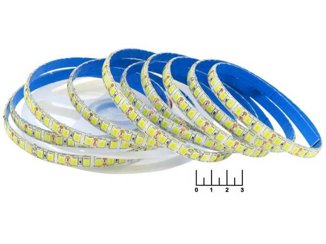 Светодиодная лента 12V белая холодная 2.5см влагозащищенная (28.8W/120LED/1м) 10мм 5054 5000K