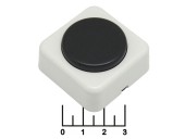 Кнопка для электрозвонка белая квадратная (клавиша черная квадратная) В31-01