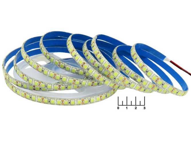 Светодиодная лента 12V белая холодная 2.5см влагозащищенная (28.8W/120LED/1м) 10мм 5054 7000K