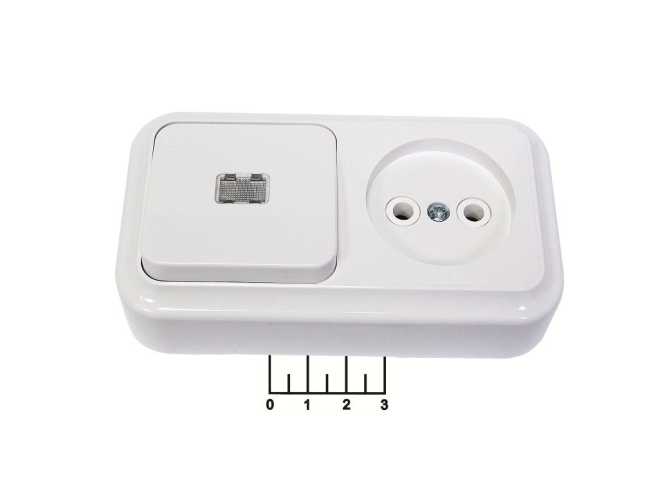 Розетка электрическая накладная без земли + выключатель 1-клавишный с индикацией Bylectrica