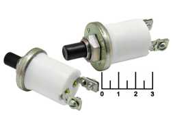 Кнопка 12/5 (24/3) без фиксации 2 контакта ВК-322