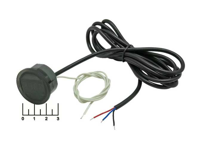 Индикатор времени 10-30V ИВ5 красный (часы)