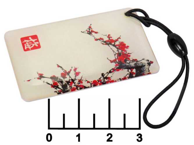 Карточка-пропуск Clamshell Card