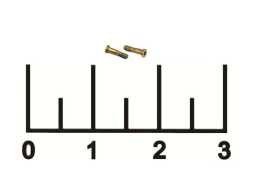 Винт для iPhone 6S нижний (ВИН-3897) (1 штука)