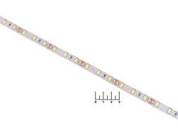 Светодиодная лента 12V белая 5см (19W/60LED/1м) 4200K P2LV19ESB 5630/5730