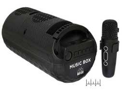 Акустическая система bluetooth + USB/micro SD/FM Type C + микрофон (Music Box)