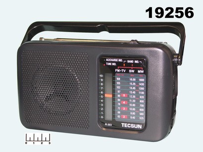 Радиоприемник Tecsun R-303/20 AC/DC