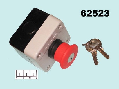 Кнопка GB2-J184 с фиксацией ключ
