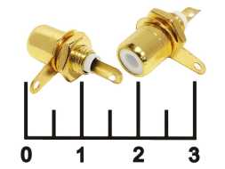 Разъем RCA гнездо в панель под гайку gold белый (1-290G) 7-0234W/RS-115G