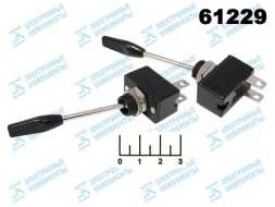 Тумблер 24/10 R13-96A01 2 контакта