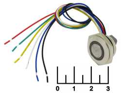 Кнопка GQ16TF-6E/RGB/N без фиксации антивандальная металл (16мм)
