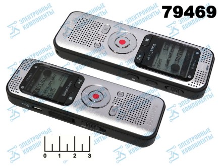 Диктофон Philips DVT-2000 цифровой 4Gb